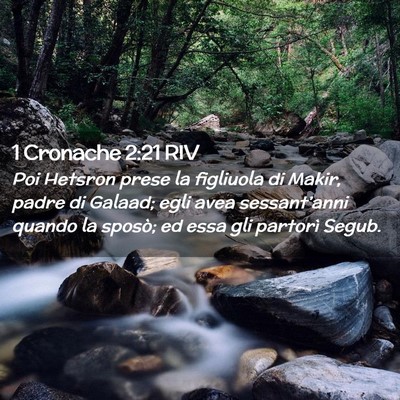 Picture 02 - 1 Cronache 2:21 RIV - Poi Hetsron prese la figliuola di Makir, padre di - Bible Verse Picture
