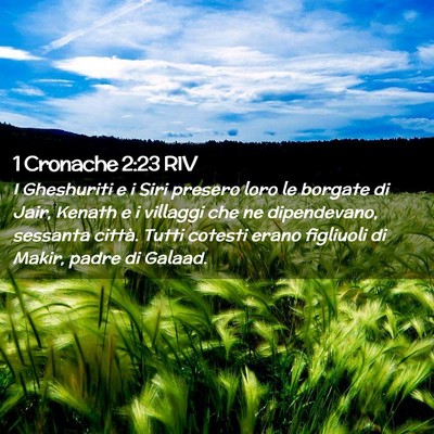 Picture 02 - 1 Cronache 2:23 RIV - I Gheshuriti e i Siri presero loro le borgate di - Bible Verse Picture