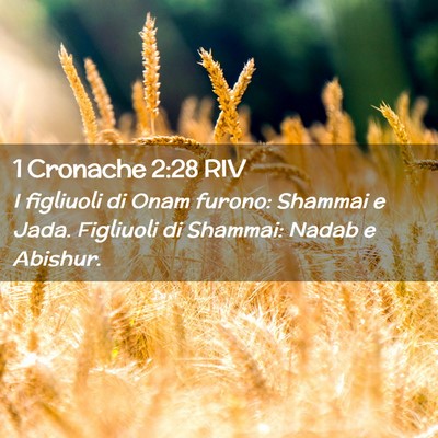 Picture 02 - 1 Cronache 2:28 RIV - I figliuoli di Onam furono: Shammai e Jada. - Bible Verse Picture