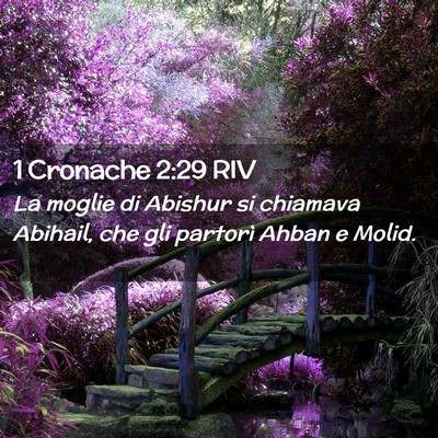 Picture 02 - 1 Cronache 2:29 RIV - La moglie di Abishur si chiamava Abihail, che gli - Bible Verse Picture