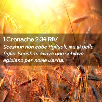 Picture 02 - 1 Cronache 2:34 RIV - Sceshan non ebbe figliuoli, ma sì delle figlie. - Bible Verse Picture