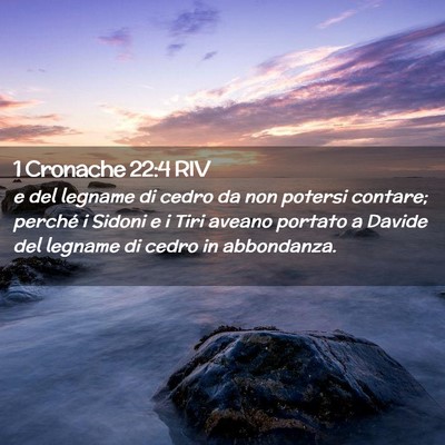 Picture 02 - 1 Cronache 22:4 RIV - e del legname di cedro da non potersi contare; - Bible Verse Picture