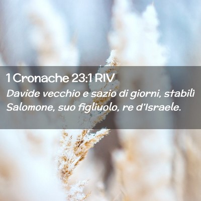 Picture 02 - 1 Cronache 23:1 RIV - Davide vecchio e sazio di giorni, stabilì - Bible Verse Picture