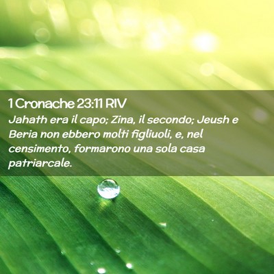Picture 02 - 1 Cronache 23:11 RIV - Jahath era il capo; Zina, il secondo; Jeush e - Bible Verse Picture