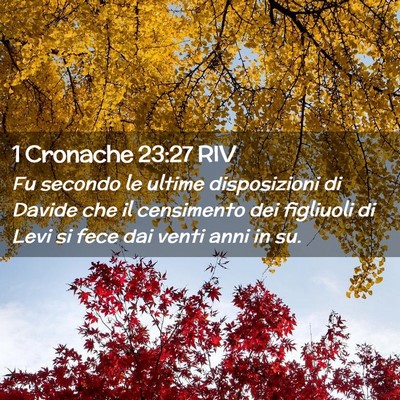 Picture 02 - 1 Cronache 23:27 RIV - Fu secondo le ultime disposizioni di Davide che - Bible Verse Picture