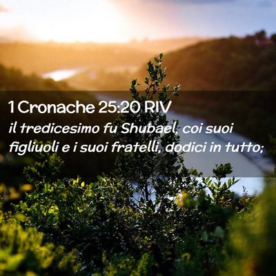 Picture 02 - 1 Cronache 25:20 RIV - il tredicesimo fu Shubael, coi suoi figliuoli e i - Bible Verse Picture