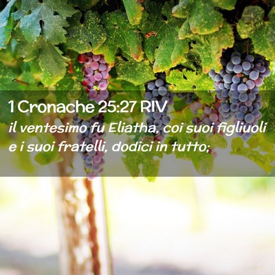 Picture 02 - 1 Cronache 25:27 RIV - il ventesimo fu Eliatha, coi suoi figliuoli e i - Bible Verse Picture