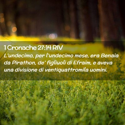 Picture 02 - 1 Cronache 27:14 RIV - L’undecimo, per l’undecimo mese, era Benaia - Bible Verse Picture