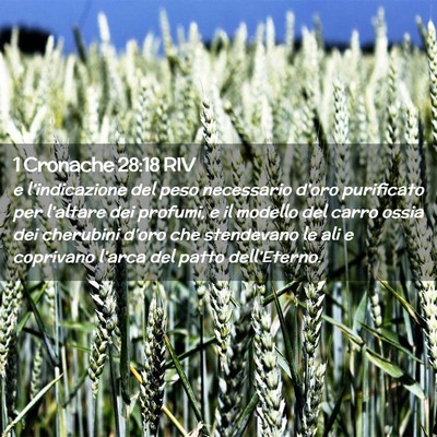 Picture 02 - 1 Cronache 28:18 RIV - e l’indicazione del peso necessario d’oro - Bible Verse Picture