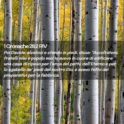 Picture 02 - 1 Cronache 28:2 RIV - Poi Davide, alzatosi e stando in piedi, disse: - Bible Verse Picture