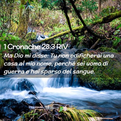 Picture 02 - 1 Cronache 28:3 RIV - Ma Dio mi disse: Tu non edificherai una casa al - Bible Verse Picture