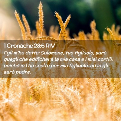 Picture 02 - 1 Cronache 28:6 RIV - Egli m’ha detto: Salomone, tuo figliuolo, sarà - Bible Verse Picture