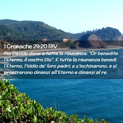 Picture 02 - 1 Cronache 29:20 RIV - Poi Davide disse a tutta la raunanza: “Or - Bible Verse Picture