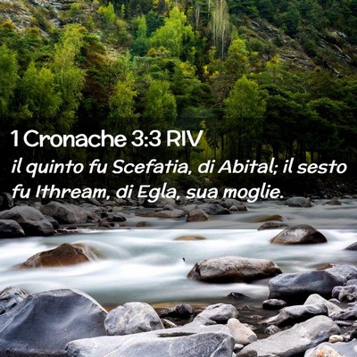Picture 02 - 1 Cronache 3:3 RIV - il quinto fu Scefatia, di Abital; il sesto fu - Bible Verse Picture