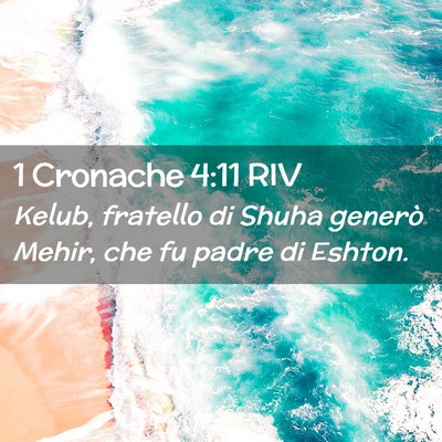 Picture 02 - 1 Cronache 4:11 RIV - Kelub, fratello di Shuha generò Mehir, che fu - Bible Verse Picture