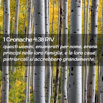 Picture 02 - 1 Cronache 4:38 RIV - questi uomini, enumerati per nome, erano principi - Bible Verse Picture