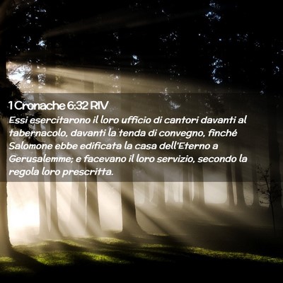 Picture 02 - 1 Cronache 6:32 RIV - Essi esercitarono il loro ufficio di cantori - Bible Verse Picture