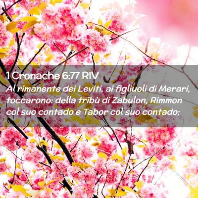 Picture 02 - 1 Cronache 6:77 RIV - Al rimanente dei Leviti, ai figliuoli di Merari, - Bible Verse Picture