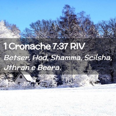 Picture 02 - 1 Cronache 7:37 RIV - Betser, Hod, Shamma, Scilsha, Jthran e - Bible Verse Picture