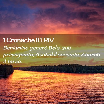 Picture 02 - 1 Cronache 8:1 RIV - Beniamino generò Bela, suo primogenito, Ashbel - Bible Verse Picture