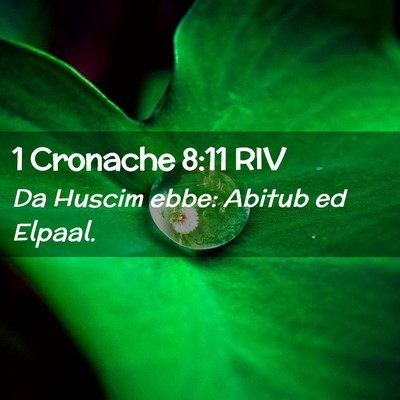 Picture 02 - 1 Cronache 8:11 RIV - Da Huscim ebbe: Abitub ed - Bible Verse Picture