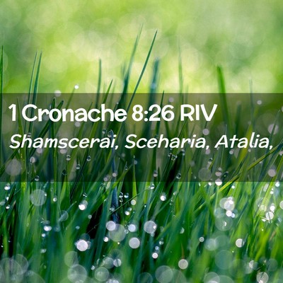 Picture 02 - 1 Cronache 8:26 RIV - Shamscerai, Sceharia, - Bible Verse Picture
