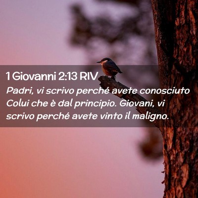 Picture 02 - 1 Giovanni 2:13 RIV - Padri, vi scrivo perché avete conosciuto Colui - Bible Verse Picture
