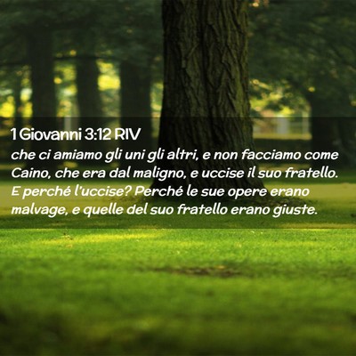 Picture 02 - 1 Giovanni 3:12 RIV - che ci amiamo gli uni gli altri, e non facciamo - Bible Verse Picture