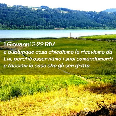 Picture 02 - 1 Giovanni 3:22 RIV - e qualunque cosa chiediamo la riceviamo da Lui, - Bible Verse Picture