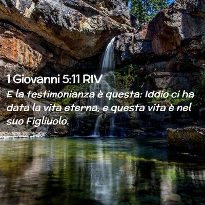 Picture 02 - 1 Giovanni 5:11 RIV - E la testimonianza è questa: Iddio ci ha data la - Bible Verse Picture