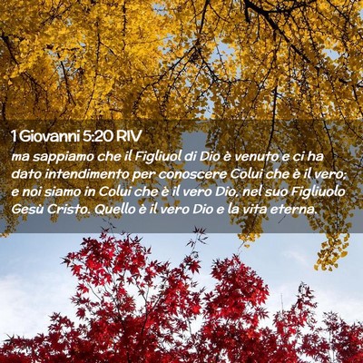 Picture 02 - 1 Giovanni 5:20 RIV - ma sappiamo che il Figliuol di Dio è venuto e ci - Bible Verse Picture