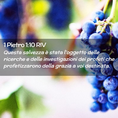 Picture 02 - 1 Pietro 1:10 RIV - Questa salvezza è stata l’oggetto delle - Bible Verse Picture