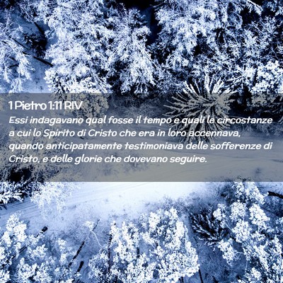 Picture 02 - 1 Pietro 1:11 RIV - Essi indagavano qual fosse il tempo e quali le - Bible Verse Picture