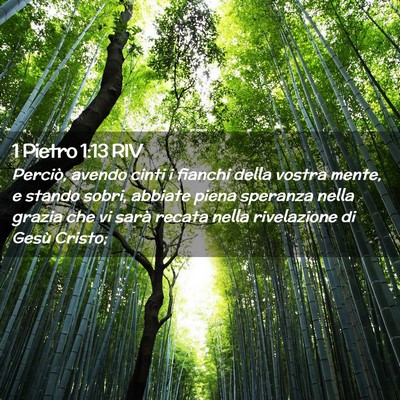 Picture 02 - 1 Pietro 1:13 RIV - Perciò, avendo cinti i fianchi della vostra - Bible Verse Picture
