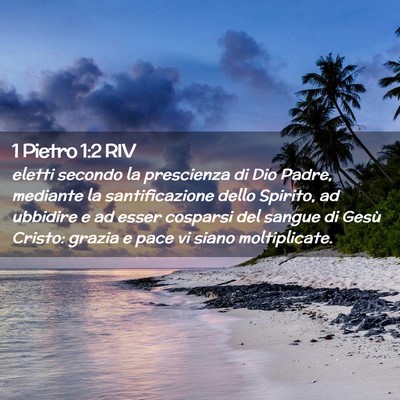 Picture 02 - 1 Pietro 1:2 RIV - eletti secondo la prescienza di Dio Padre, - Bible Verse Picture