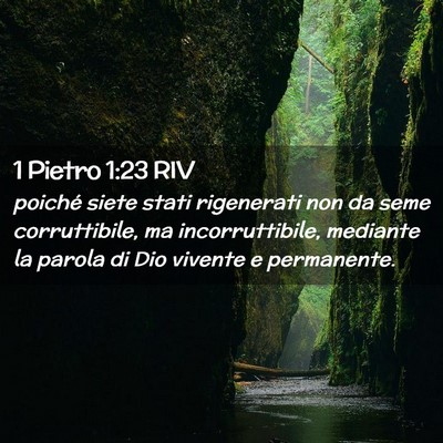 Picture 02 - 1 Pietro 1:23 RIV - poiché siete stati rigenerati non da seme - Bible Verse Picture