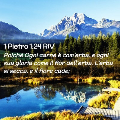 Picture 02 - 1 Pietro 1:24 RIV - Poiché Ogni carne è com’erba, e ogni sua - Bible Verse Picture