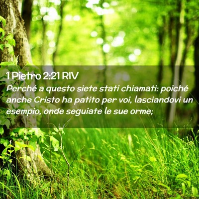 Picture 02 - 1 Pietro 2:21 RIV - Perché a questo siete stati chiamati: poiché - Bible Verse Picture