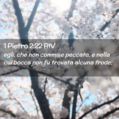 Picture 02 - 1 Pietro 2:22 RIV - egli, che non commise peccato, e nella cui bocca - Bible Verse Picture