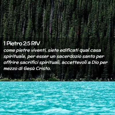 Picture 02 - 1 Pietro 2:5 RIV - come pietre viventi, siete edificati qual casa - Bible Verse Picture