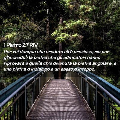 Picture 02 - 1 Pietro 2:7 RIV - Per voi dunque che credete ell’è preziosa; ma - Bible Verse Picture