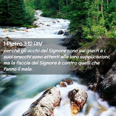 Picture 02 - 1 Pietro 3:12 RIV - perché gli occhi del Signore sono sui giusti e i - Bible Verse Picture