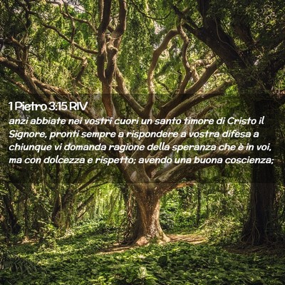 Picture 02 - 1 Pietro 3:15 RIV - anzi abbiate nei vostri cuori un santo timore di - Bible Verse Picture