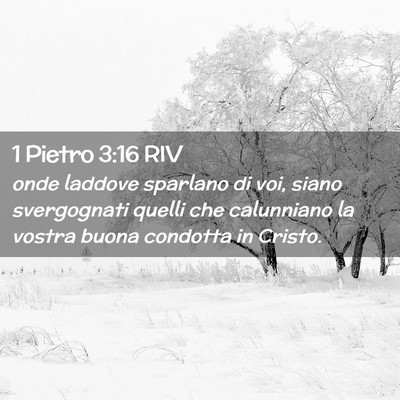 Picture 02 - 1 Pietro 3:16 RIV - onde laddove sparlano di voi, siano svergognati - Bible Verse Picture
