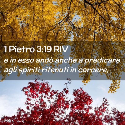 Picture 02 - 1 Pietro 3:19 RIV - e in esso andò anche a predicare agli spiriti - Bible Verse Picture