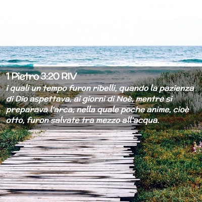 Picture 02 - 1 Pietro 3:20 RIV - i quali un tempo furon ribelli, quando la - Bible Verse Picture