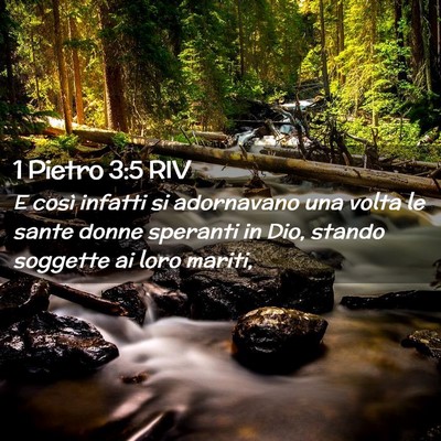 Picture 02 - 1 Pietro 3:5 RIV - E così infatti si adornavano una volta le sante - Bible Verse Picture
