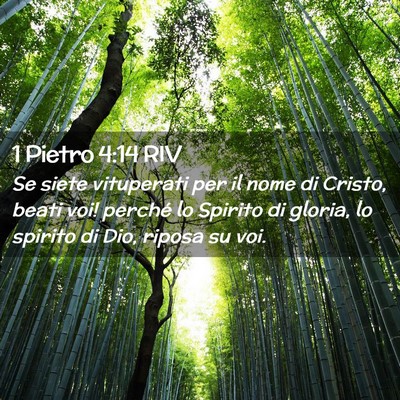 Picture 02 - 1 Pietro 4:14 RIV - Se siete vituperati per il nome di Cristo, beati - Bible Verse Picture