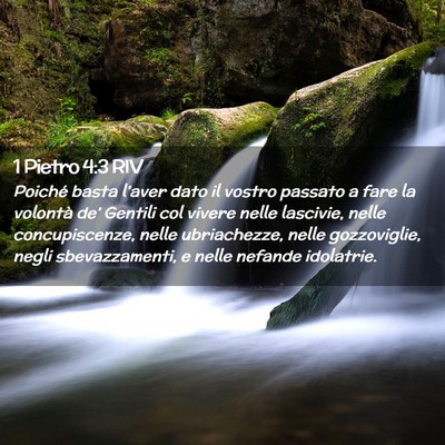 Picture 02 - 1 Pietro 4:3 RIV - Poiché basta l’aver dato il vostro passato a - Bible Verse Picture