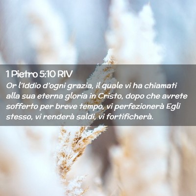 Picture 02 - 1 Pietro 5:10 RIV - Or l’Iddio d’ogni grazia, il quale vi ha - Bible Verse Picture